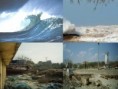 /album/tsunami/ts1-jpg1/