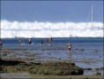 /album/tsunami/indtsu1-jpg1/